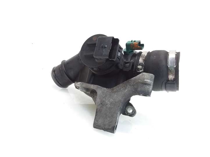 9689096280 Citroen C5 Droselinė sklendė