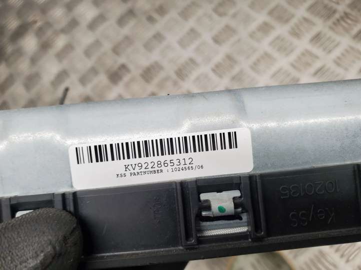 BMW 3 F30 F35 F31 (2012 - 2018)  922865312 Подушка безопастности колен