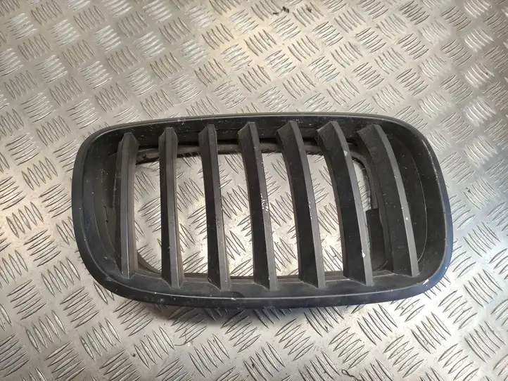 BMW X5 E70 (2006 - 2013) 51137171396 Верхняя решетка радиатора — фото 1