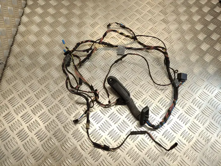 BMW X5 E70 (2006 - 2013) 6977054 Проводка передней двери — фото 1