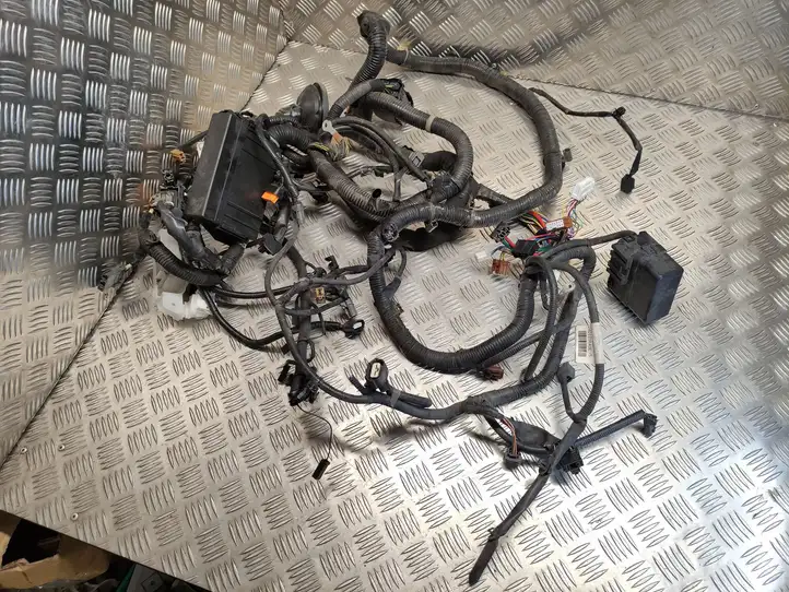 Nissan Juke I F15 (2010 - 2018) 240121KA9E Проводка двигателя — фото 1