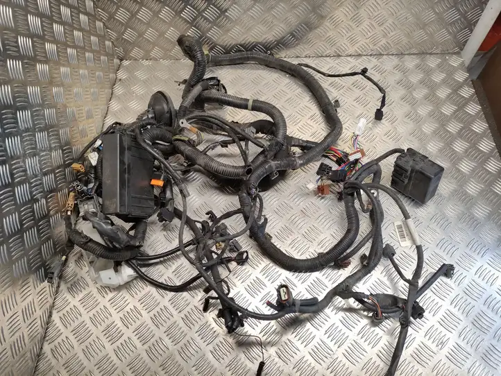 Nissan Juke I F15 (2010 - 2018) 240121KA9E Проводка двигателя — фото 4