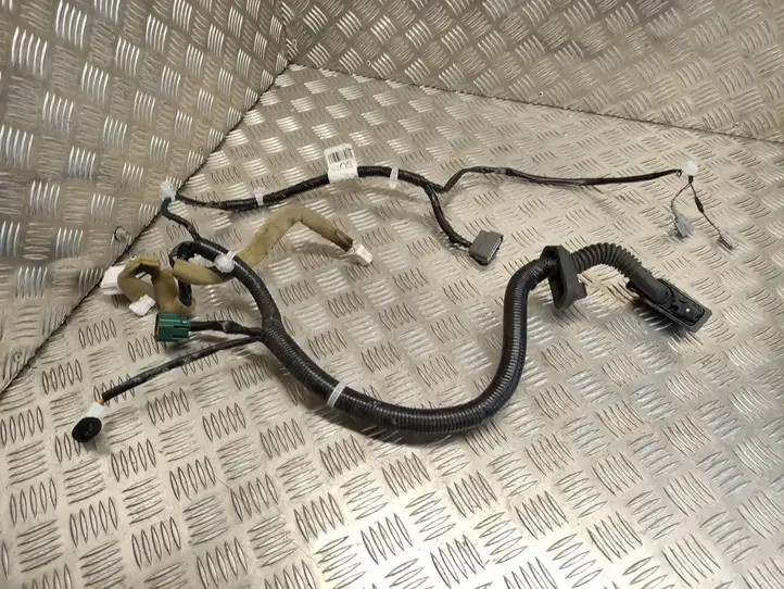 Nissan Juke I F15 (2010 - 2018) 241251KA0C Проводка передней двери — фото 1