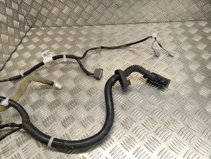 Nissan Juke I F15 (2010 - 2018) 241251KA0C Проводка передней двери — фото 4