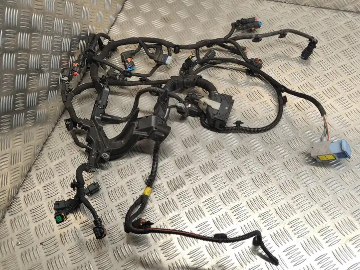 Citroen C4 Grand Picasso (2013 - 2016) 9800137480 Проводка двигателя — фото 6