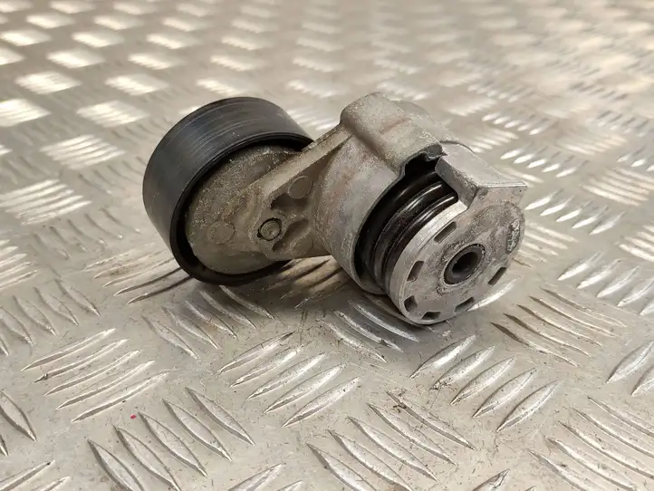 Nissan Juke I F15 (2010 - 2018) 117503662R Натяжитель ремня — фото 1