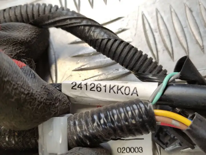 Nissan Juke I F15 (2010 - 2018) 241261KK0A Проводка задней двери — фото 3