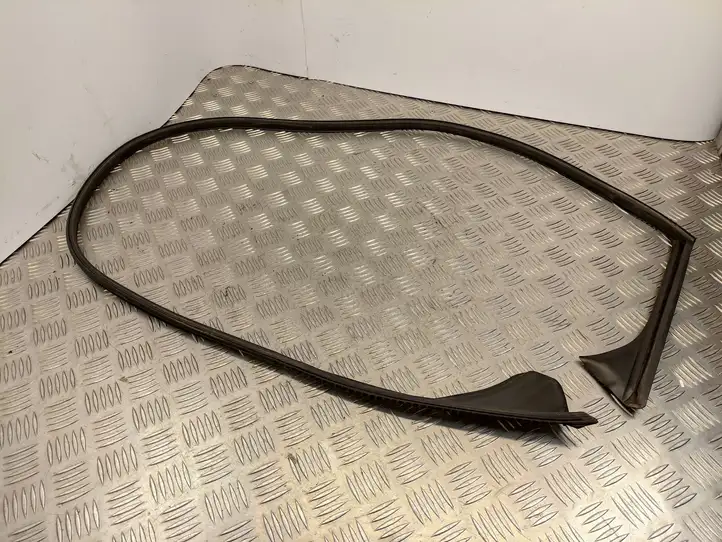 Mercedes-Benz CLA C117,X117,W117 (2013 - 2019) A1176730117 Уплотнитель передней двери (кузов) — фото 1