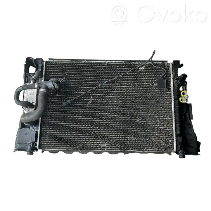 Volvo XC60 (2008 - 2013) 6G917A095AD Радиатор охлаждающей жидкости двигателя — фото 1