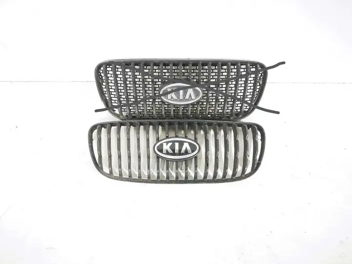 Kia Picanto (2004 - 2007) Верхняя решетка радиатора — фото 1