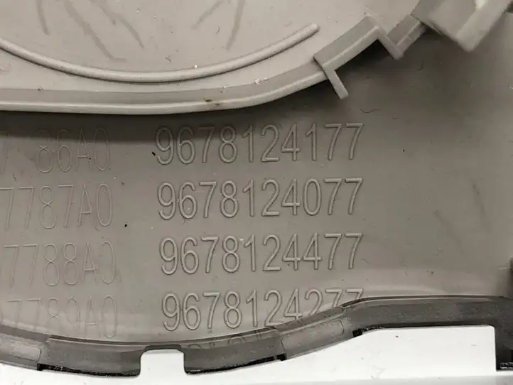 Citroen C4 Grand Picasso (2013 - 2016) 9678124077 Передняя подсветка — фото 2