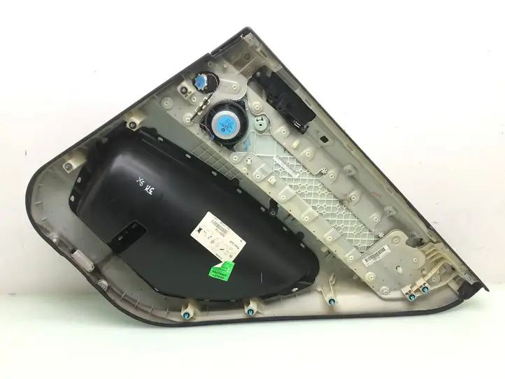 BMW X5 E70 (2006 - 2013) 6237114 Обшивка задней двери — фото 4