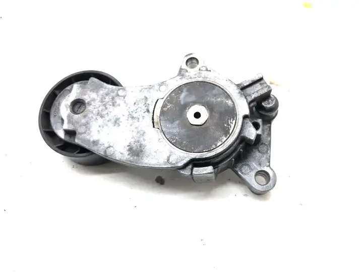 Peugeot Partner (2008 - 2012) 846143 Натяжитель ремня генератора — фото 2
