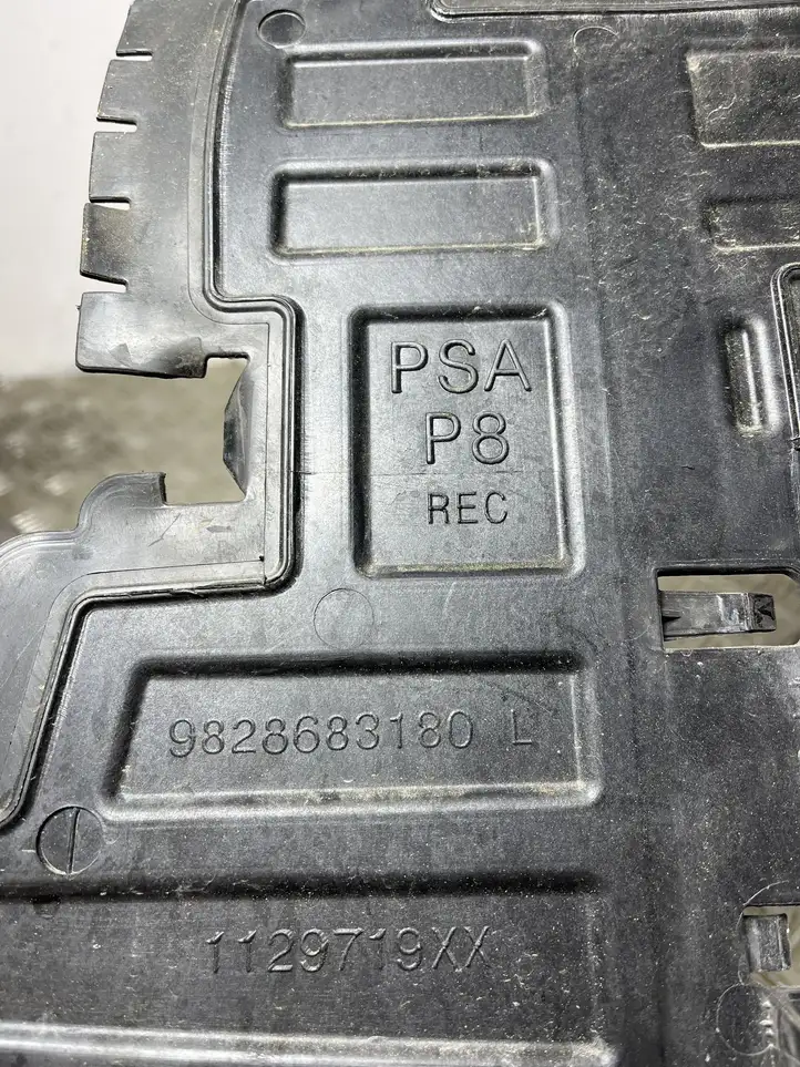 Peugeot 5008 II (2020 - ) 9828683180 Дефлектор воздуха — фото 3