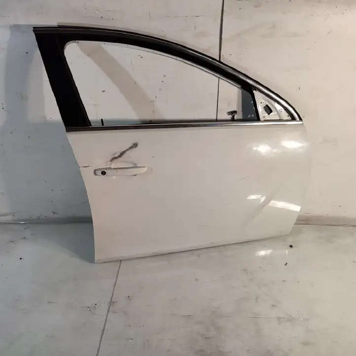 Opel Insignia A (2008 - 2017) Дверь — фото 1