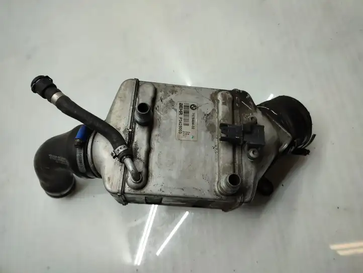 BMW 7 F01 (2008 - 2016) 7575404 Интеркулер — фото 1