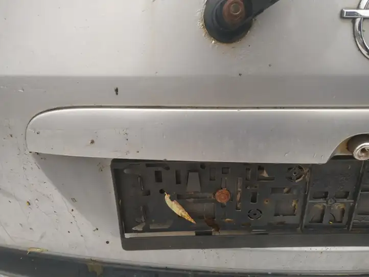 Opel Zafira A (1999 - 2003) Подсветка номера — фото 2