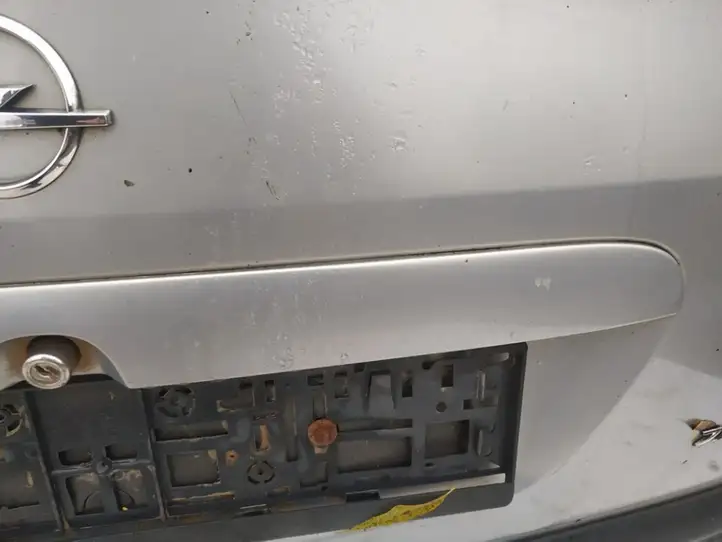 Opel Zafira A (1999 - 2003) Подсветка номера — фото 3