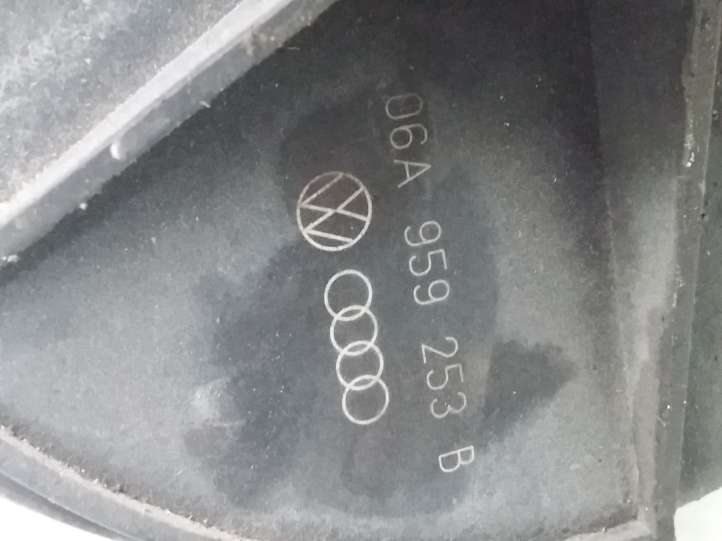 Volkswagen Golf V (2003 - 2009)  06A959253B Вторичный воздушный насос