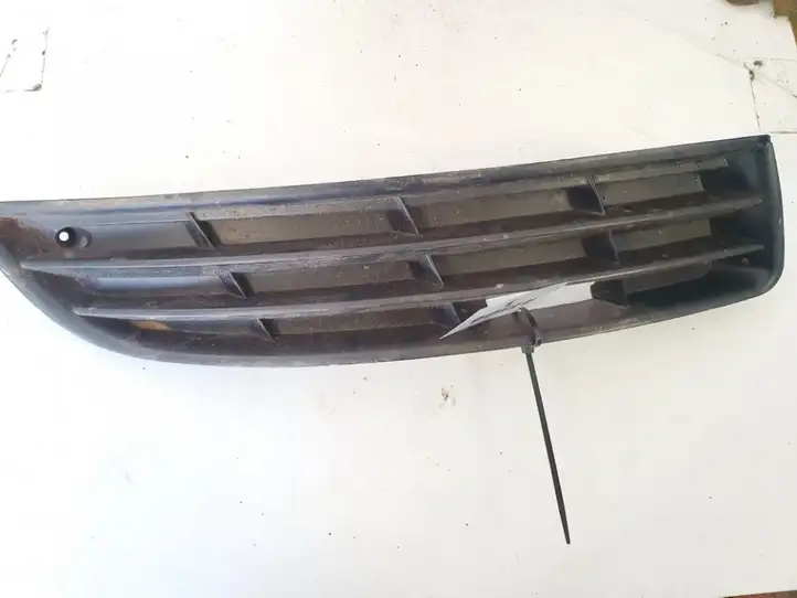 Volkswagen PASSAT B6 (2005 - 2010) vw9902501 Нижняя решетка переднего бампера — фото 1