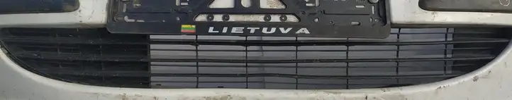 Peugeot 307 CC (2001 - 2005) Нижняя решетка переднего бампера — фото 1
