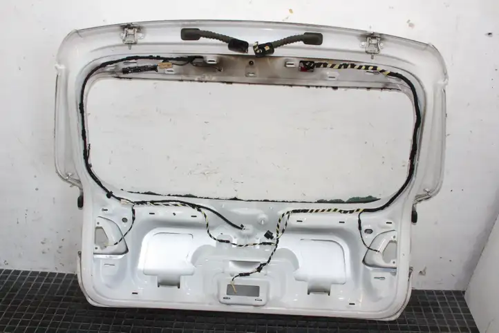 Volkswagen Tiguan (2007 - 2011) Крышка багажника — фото 4