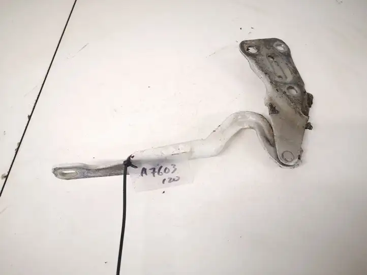 Opel Astra G (1998 - 2004) 90521520 Петли капота — фото 1