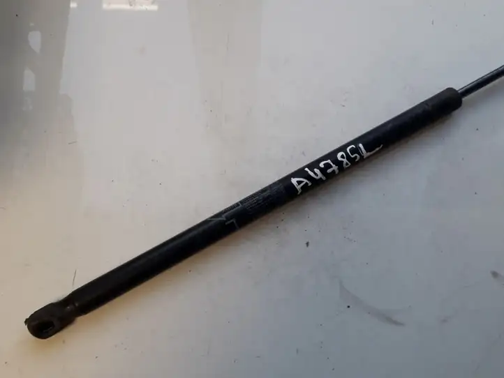 Toyota Corolla Verso AR10 (2004 - 2009) 689600F011 Амортизатор крышки багажника — фото 1