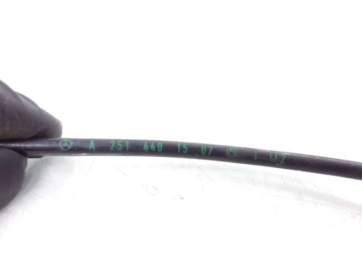 Mercedes-Benz R W251 (2005 - 2013)  A2514401507 Передняя проводка датчика ABS
