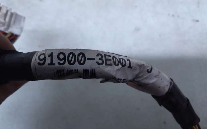 Kia Sorento (2002 - 2006)  919003E001 Проводка крышки багажника