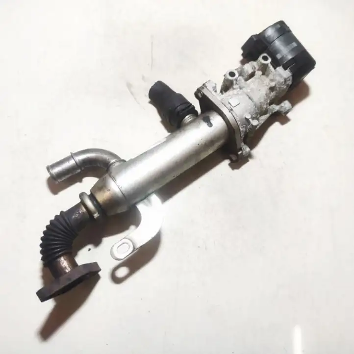 Peugeot Expert (2007 - 2016) 9645689780 Охладитель клапана EGR — фото 1