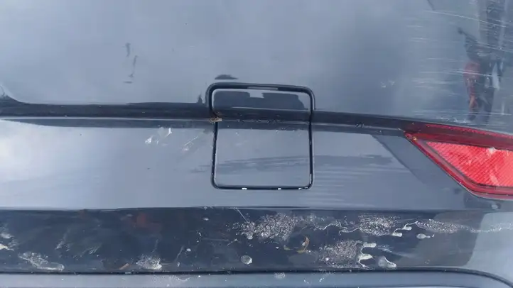 Volkswagen Golf VII (2013 - 2019) Заглушка буксировочной петли бампера — фото 1