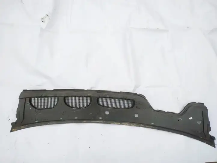 Ford Focus C-MAX (2003 - 2010) 5m51r02216ab Жабо стеклоочистителей — фото 1