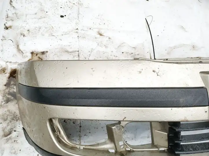 Skoda Octavia Mk2 (1Z) (2004 - 2013) Молдинг переднего бампера — фото 1