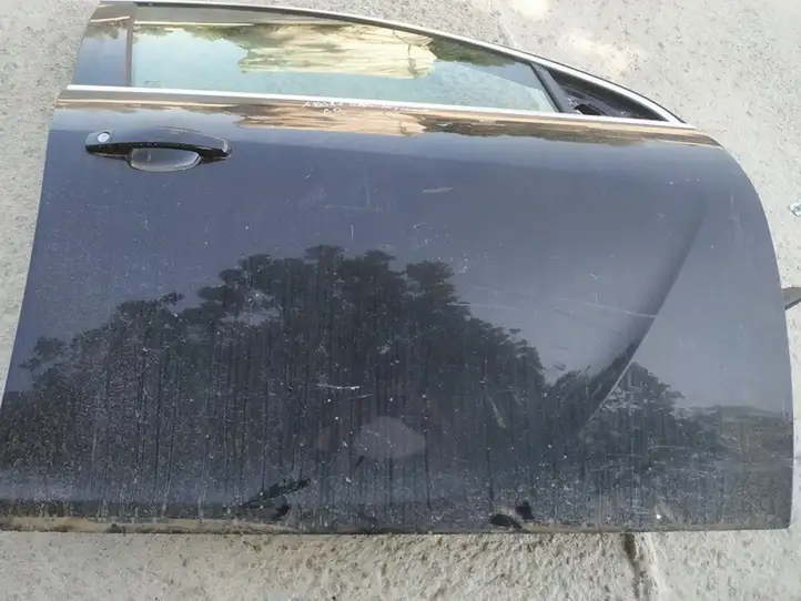 Opel Insignia A (2008 - 2017) Дверь — фото 2