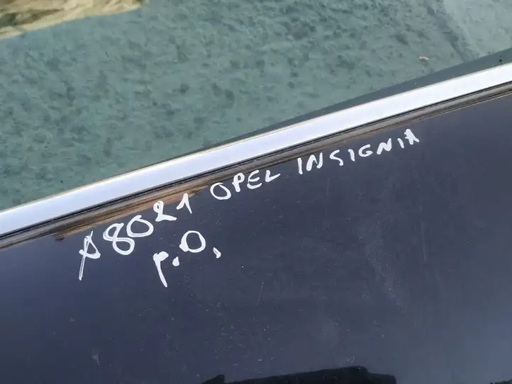 Opel Insignia A (2008 - 2017) Дверь — фото 3