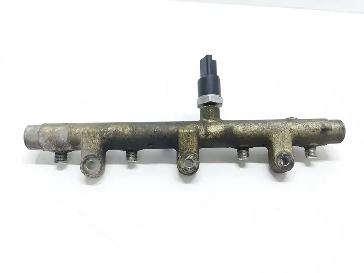 Citroen Xsara Picasso (1999 - 2012) 0445214019 Магистральная топливная трубка — фото 4