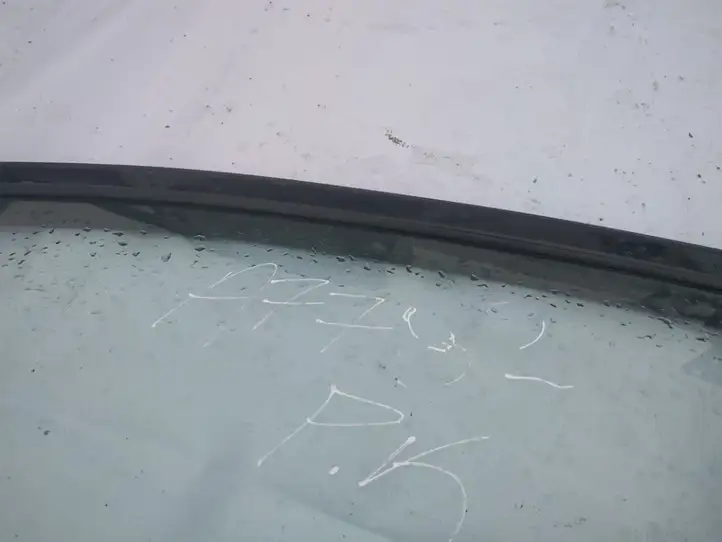 Toyota Avensis Verso (2001 - 2004) Дверь — фото 3