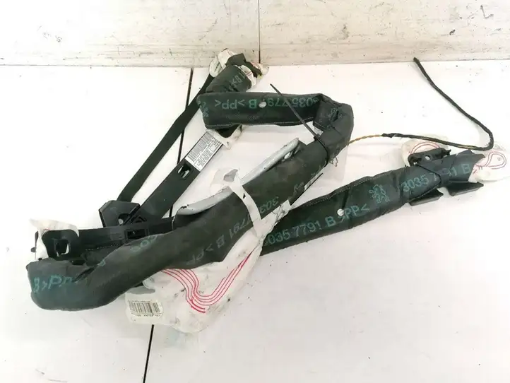 Peugeot 206 (1998 - 2012) 9647971480 Боковая подушка безопасности шторка — фото 1