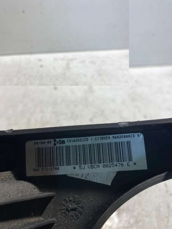 Citroen C5 (2008 - 2017)  96825000ZD Подушка безопастности колен