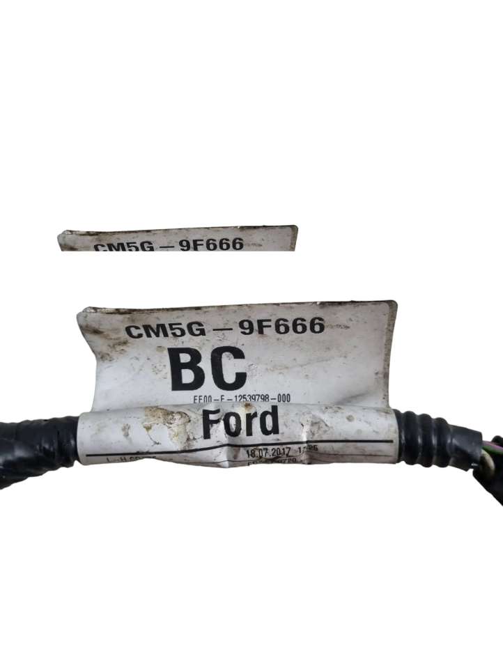 Ford Focus (2015 - 2019)  CM5G9F666BC Провода жиклер (форсунок) топлива