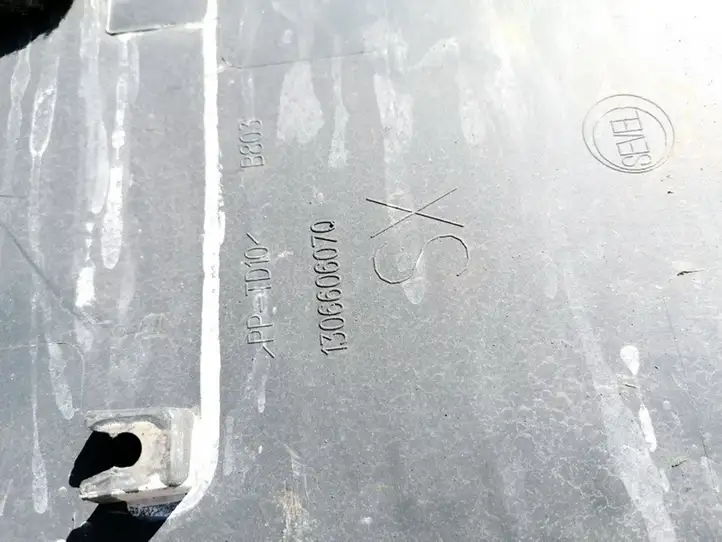 Peugeot Boxer (2007 - 2014) 1306606070 Молдинги задней двери — фото 3