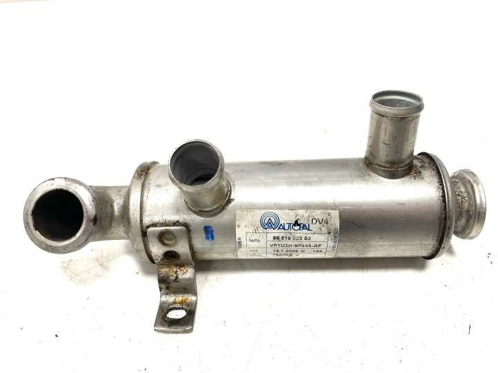 Citroen Nemo (2008 - 2015)  9651902380 Охладитель EGR
