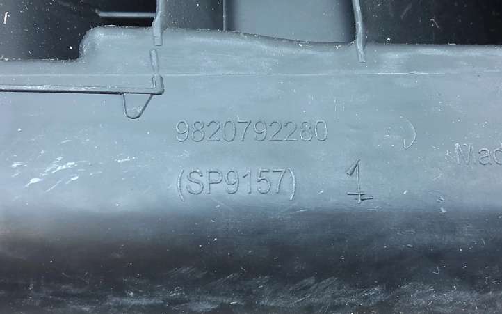 Peugeot 208 (2019 - )  9820792280 Опора ноги