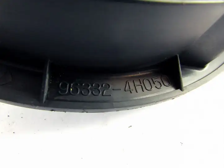 Hyundai H-1, Starex, Satellite (2004 - 2007) Динамики задних дверей — фото 6