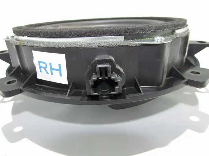 Hyundai H-1, Starex, Satellite (2007 - 2013) Динамики задних дверей — фото 2