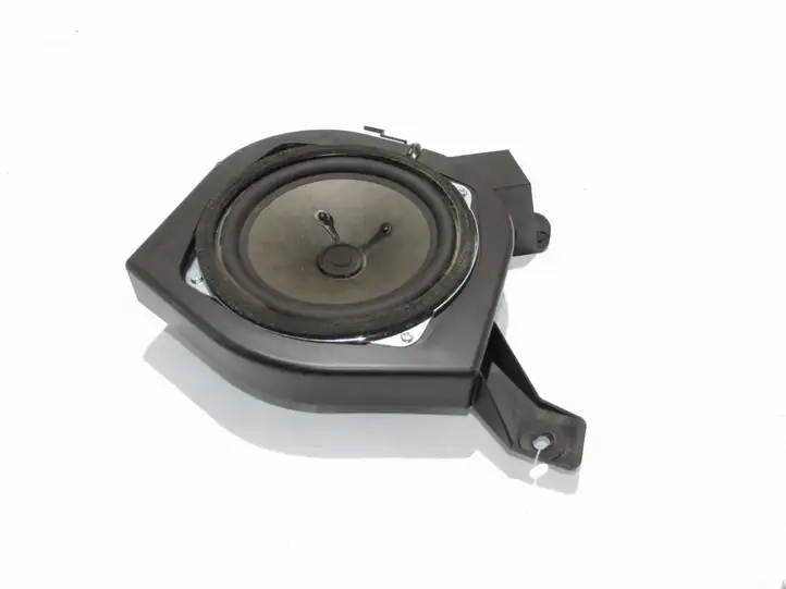 Hyundai H-1, Starex, Satellite (2007 - 2013) Динамики задних дверей — фото 1