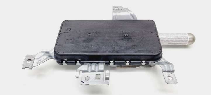 Mercedes-Benz C W203 (2000 - 2007)  A2038602605 Подушка безопастности передней двери