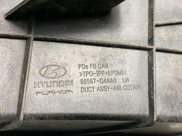 Hyundai i30 (2017 - )  96005G3000 Отделка зеркала заднего вида