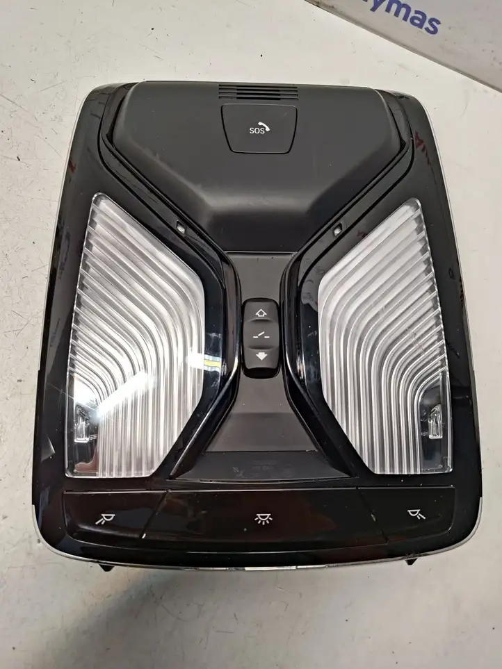 BMW X3 G01 (2018 - 2024) 9890257 Передняя подсветка — фото 1